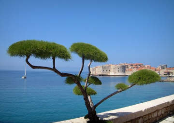 Dubrovnik - 2009